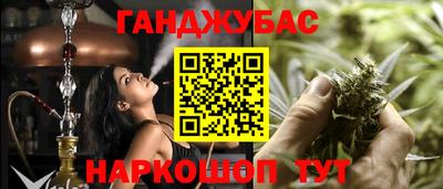 jwh Гатчина