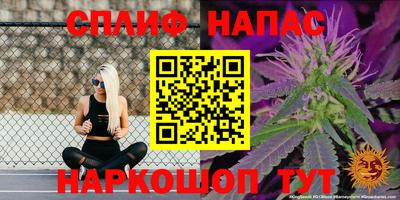 мдма Гай