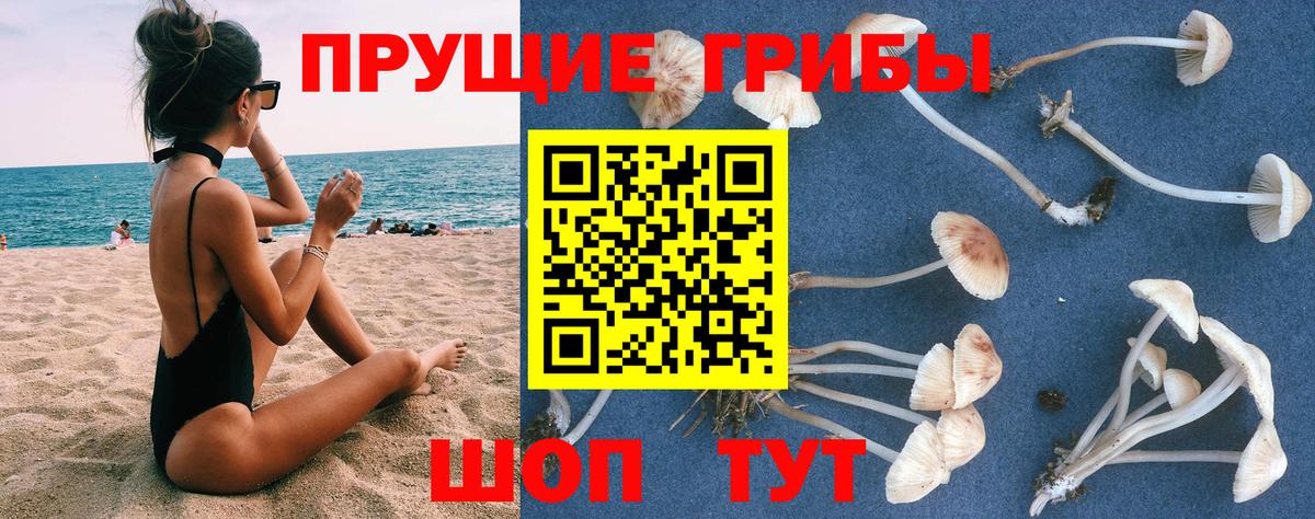 Оренбург  Галлюциногенные грибы GOLDEN TEACHER  Вход с VPN 