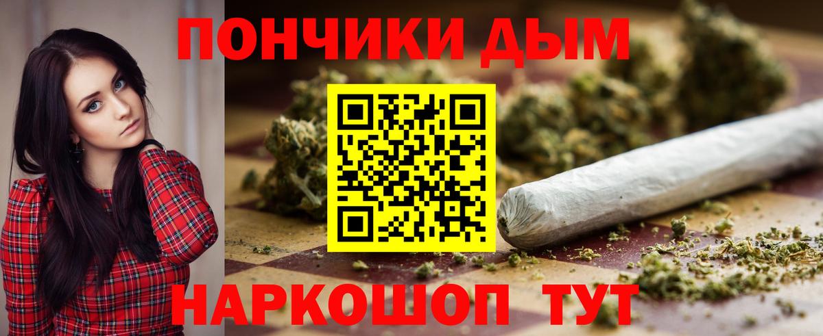 Бошки Шишки гибрид  Бошки Шишки ГИДРОПОН  Оренбург  Вход с VPN 